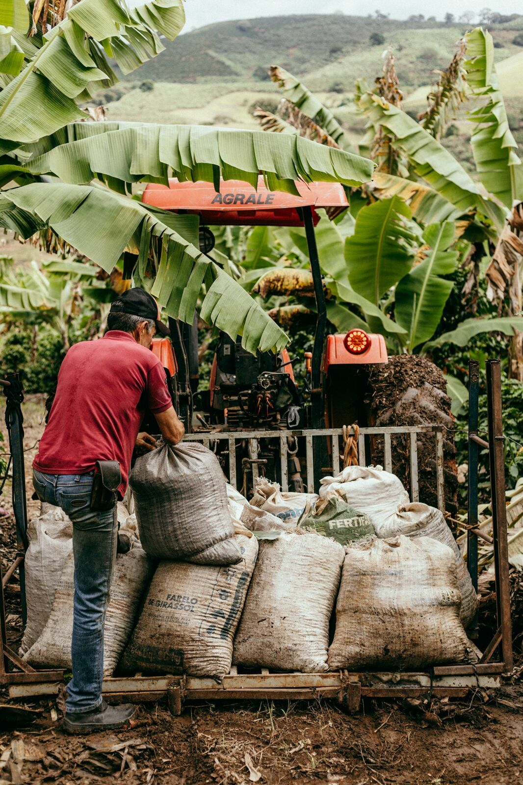Foto Serra da Mantiqueira: uma viagem com aroma de café Foto Serra da Mantiqueira: uma viagem com aroma de café - Imagem 99