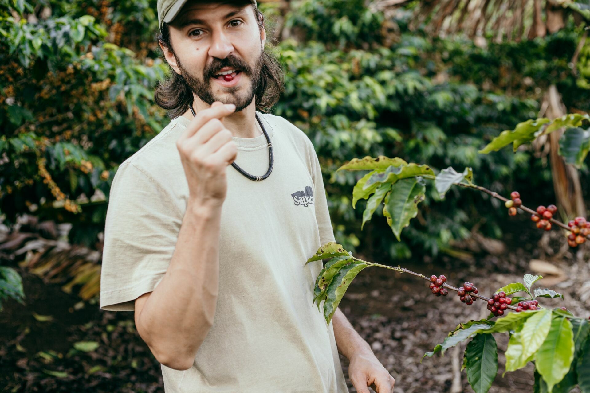 Foto Serra da Mantiqueira: uma viagem com aroma de café Foto Serra da Mantiqueira: uma viagem com aroma de café - Imagem 72