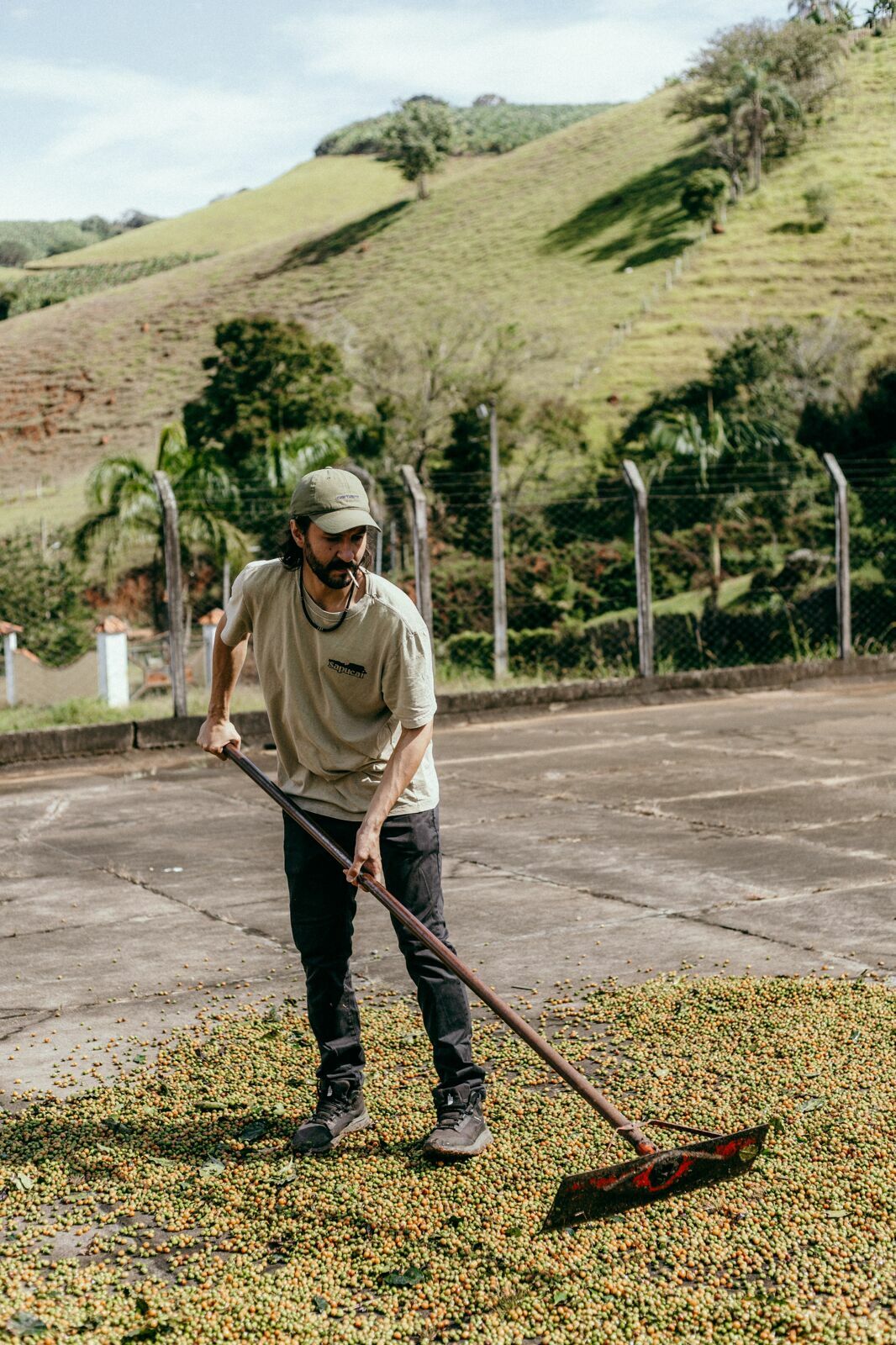 Foto Serra da Mantiqueira: uma viagem com aroma de café Foto Serra da Mantiqueira: uma viagem com aroma de café - Imagem 51