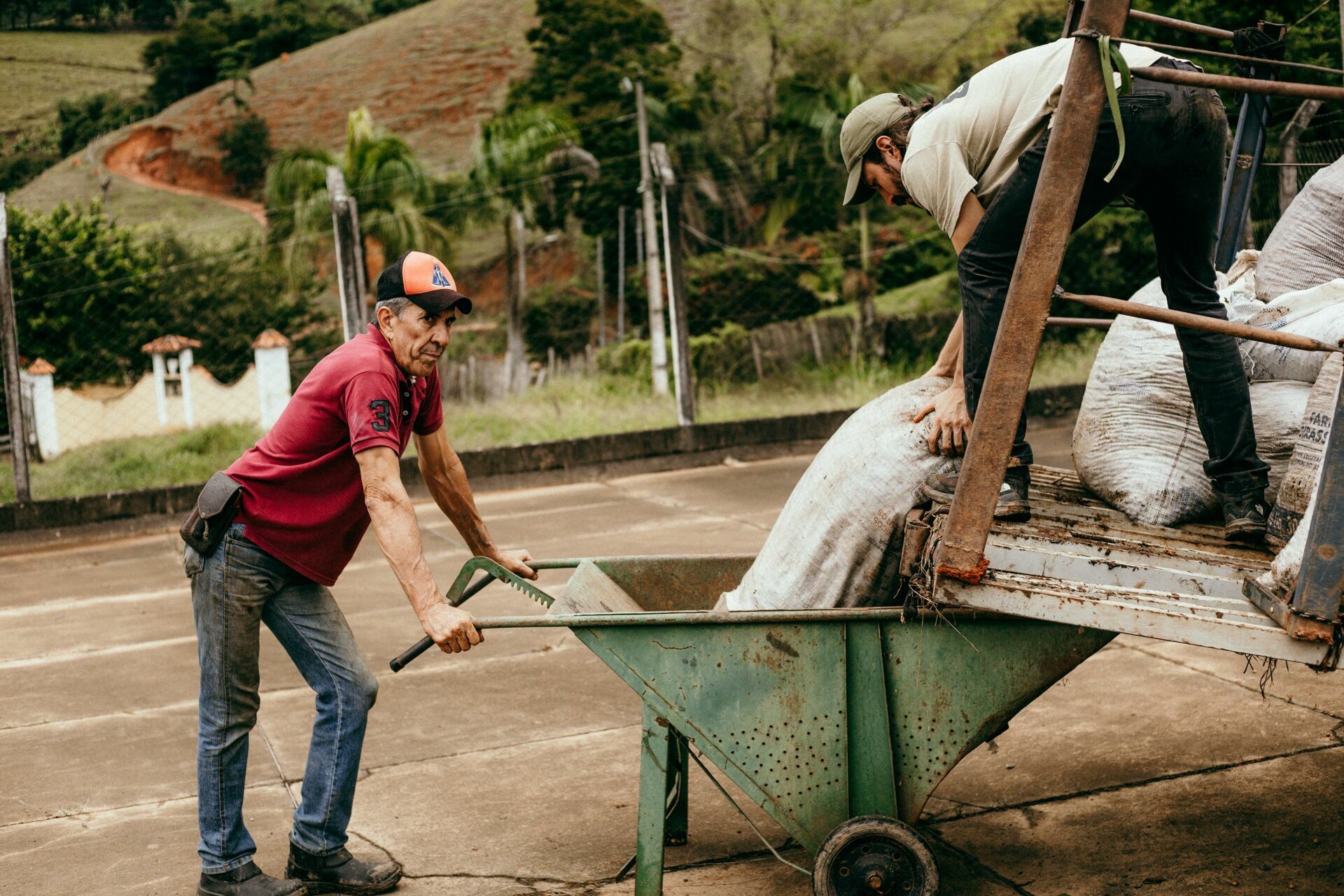 Foto Serra da Mantiqueira: uma viagem com aroma de café Foto Serra da Mantiqueira: uma viagem com aroma de café - Imagem 106