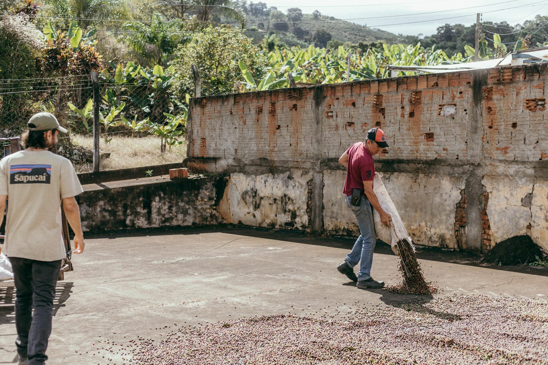 Foto Serra da Mantiqueira: uma viagem com aroma de café Foto Serra da Mantiqueira: uma viagem com aroma de café - Imagem 54