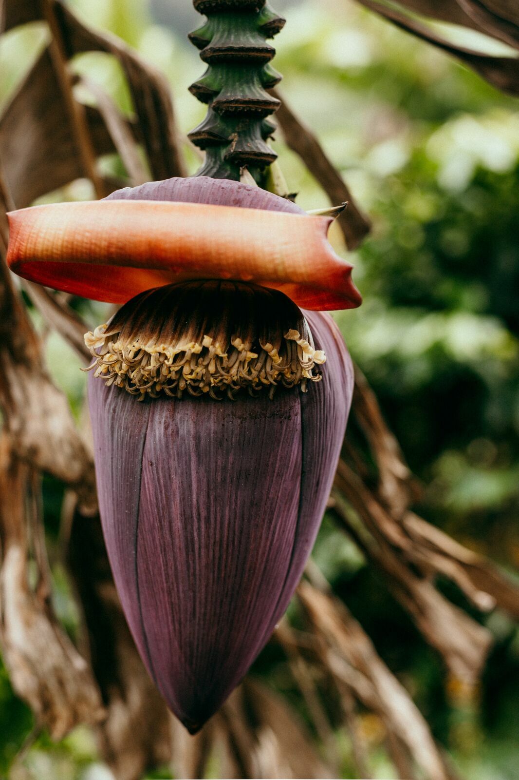 Foto Serra da Mantiqueira: uma viagem com aroma de café Foto Serra da Mantiqueira: uma viagem com aroma de café - Imagem 97