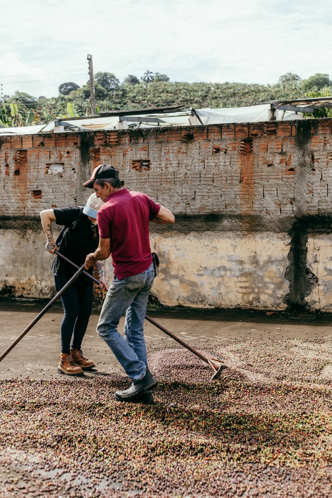 Foto Serra da Mantiqueira: uma viagem com aroma de café Foto Serra da Mantiqueira: uma viagem com aroma de café - Imagem 38
