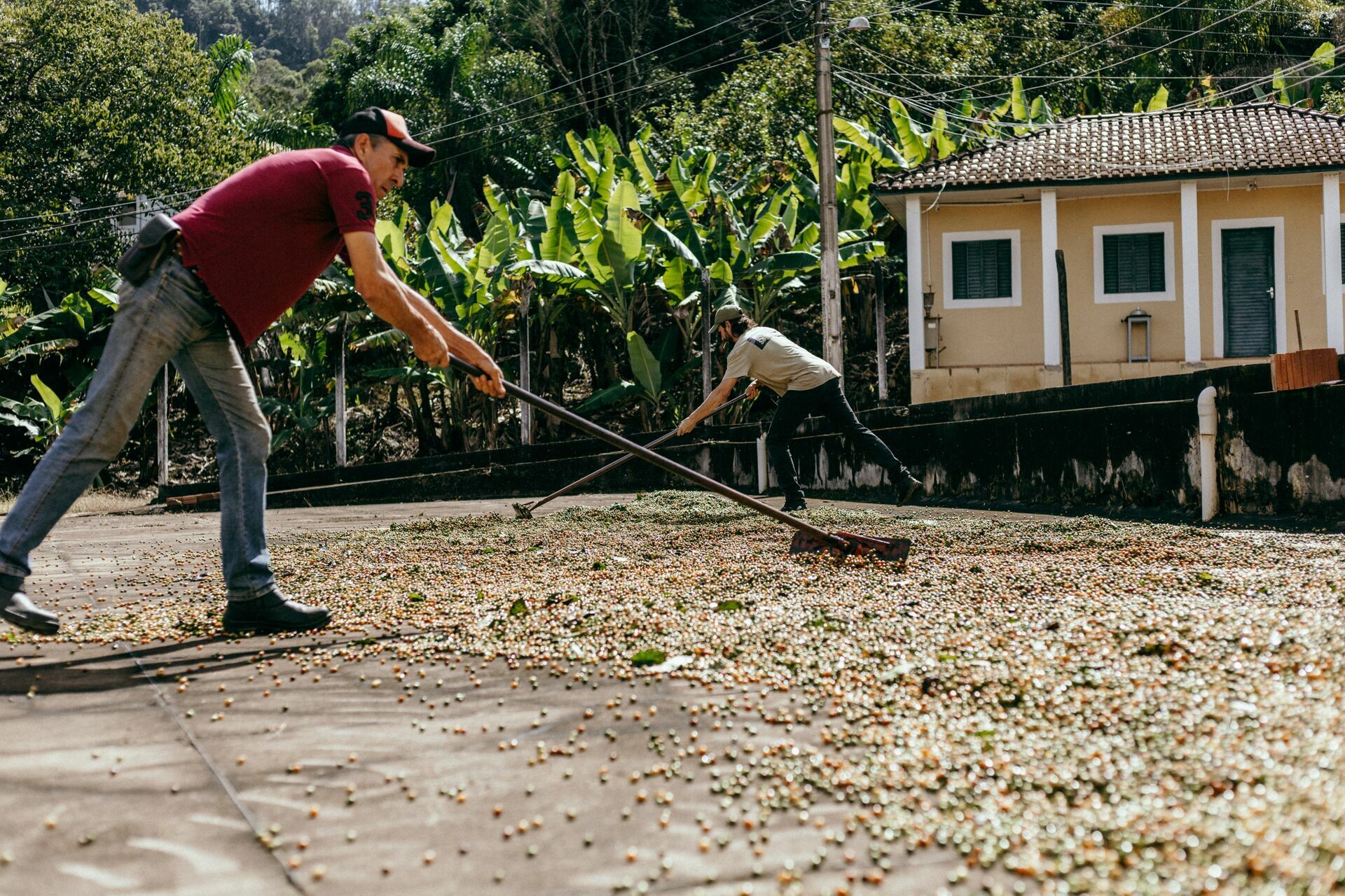 Foto Serra da Mantiqueira: uma viagem com aroma de café Foto Serra da Mantiqueira: uma viagem com aroma de café - Imagem 50