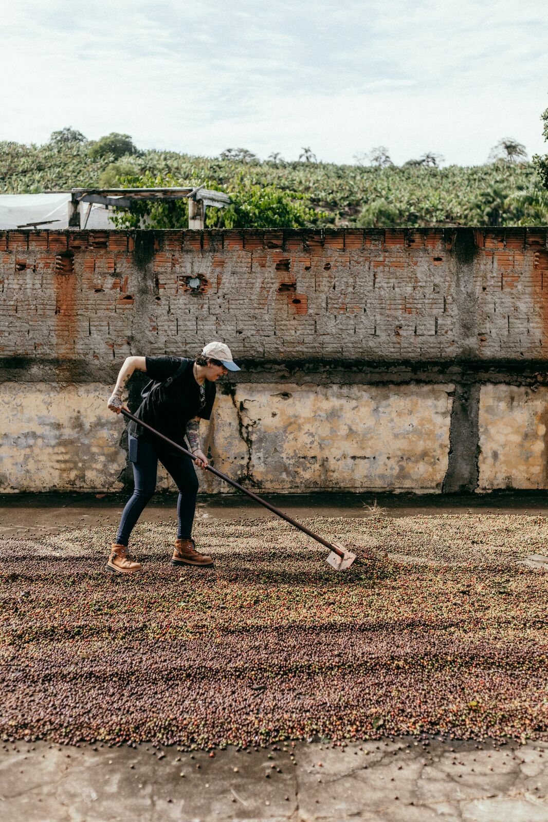 Foto Serra da Mantiqueira: uma viagem com aroma de café Foto Serra da Mantiqueira: uma viagem com aroma de café - Imagem 40