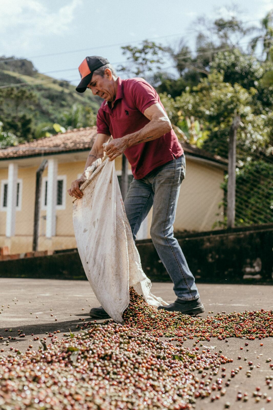 Foto Serra da Mantiqueira: uma viagem com aroma de café Foto Serra da Mantiqueira: uma viagem com aroma de café - Imagem 57