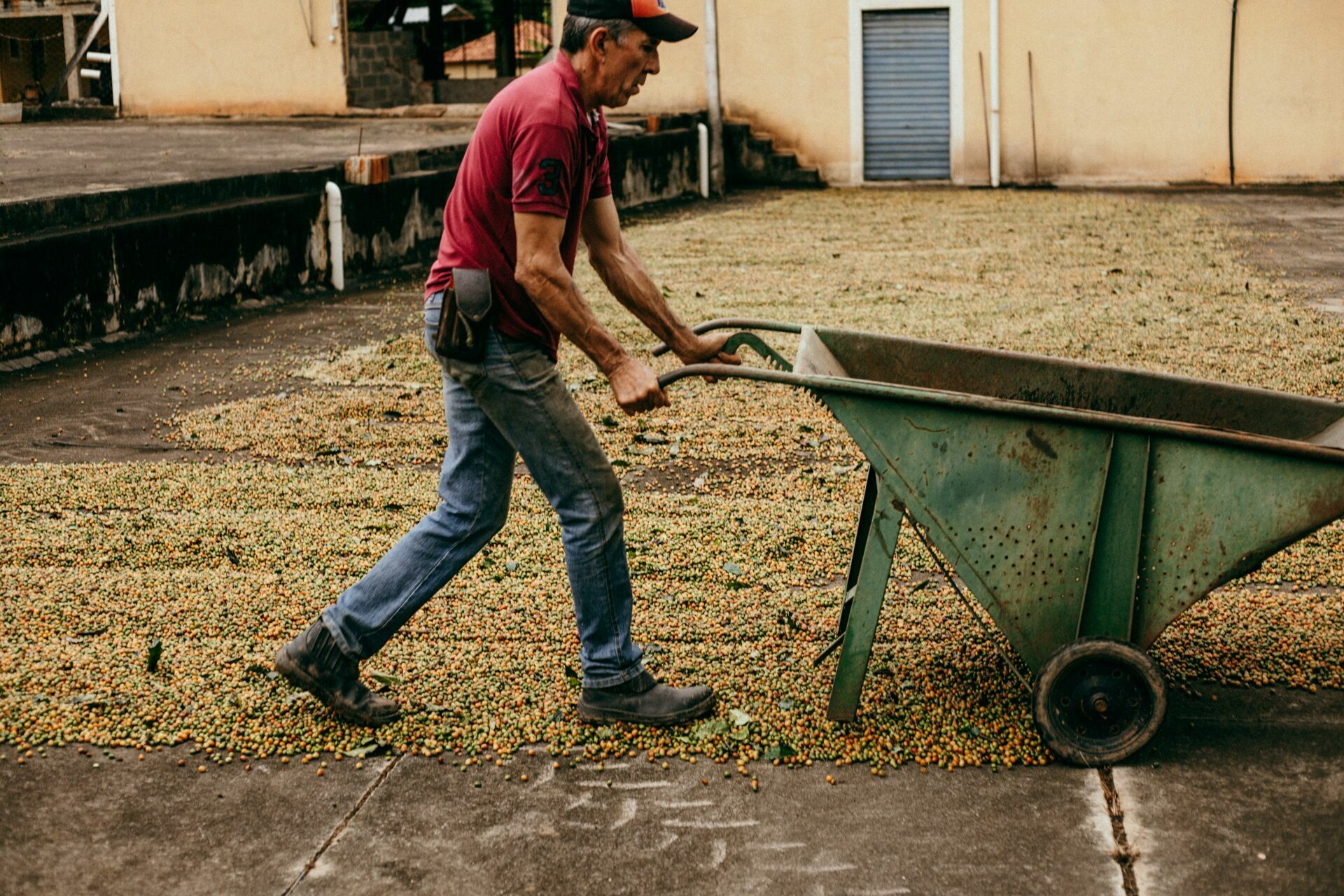 Foto Serra da Mantiqueira: uma viagem com aroma de café Foto Serra da Mantiqueira: uma viagem com aroma de café - Imagem 112