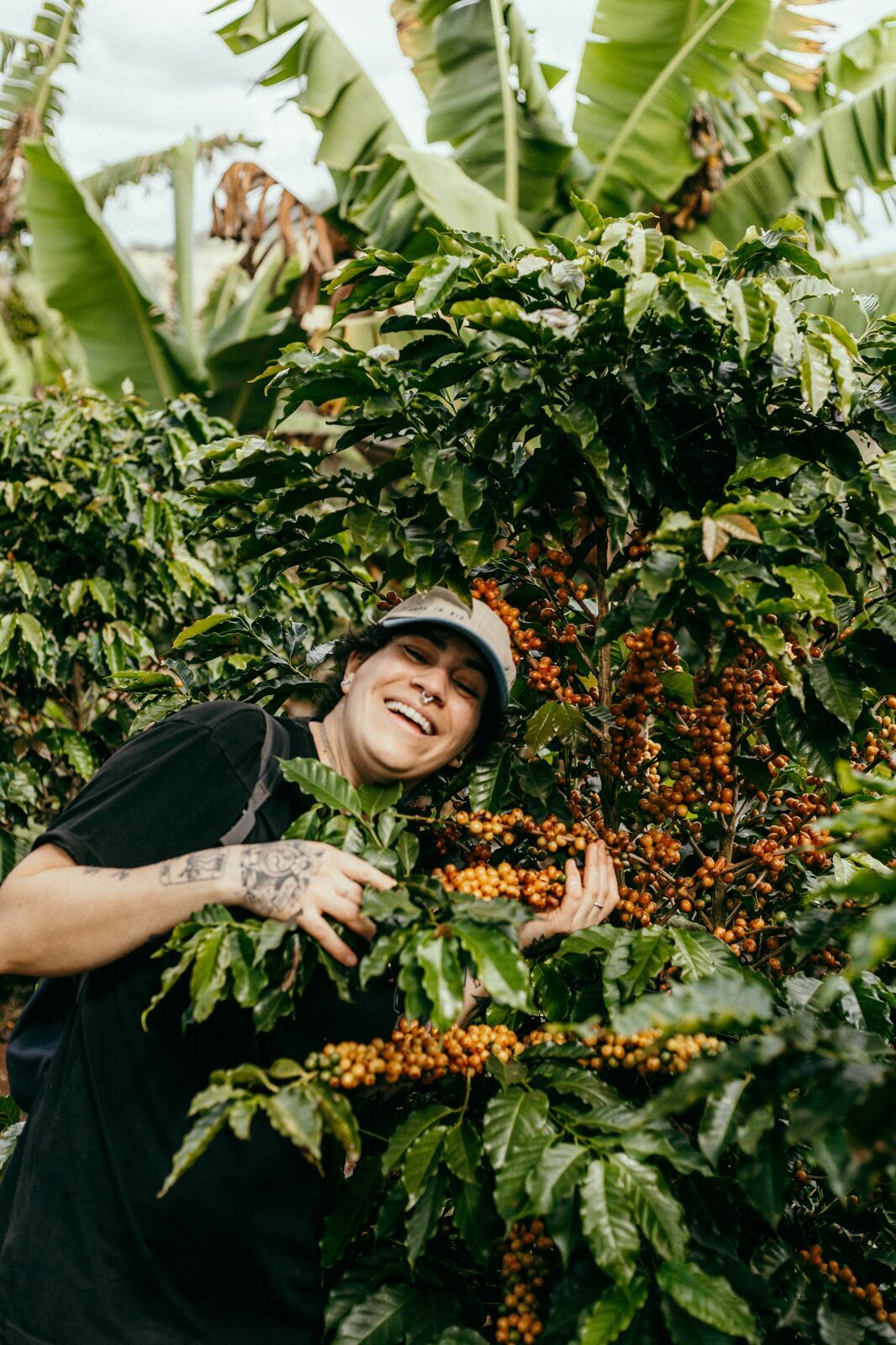 Foto Serra da Mantiqueira: uma viagem com aroma de café Foto Serra da Mantiqueira: uma viagem com aroma de café - Imagem 80