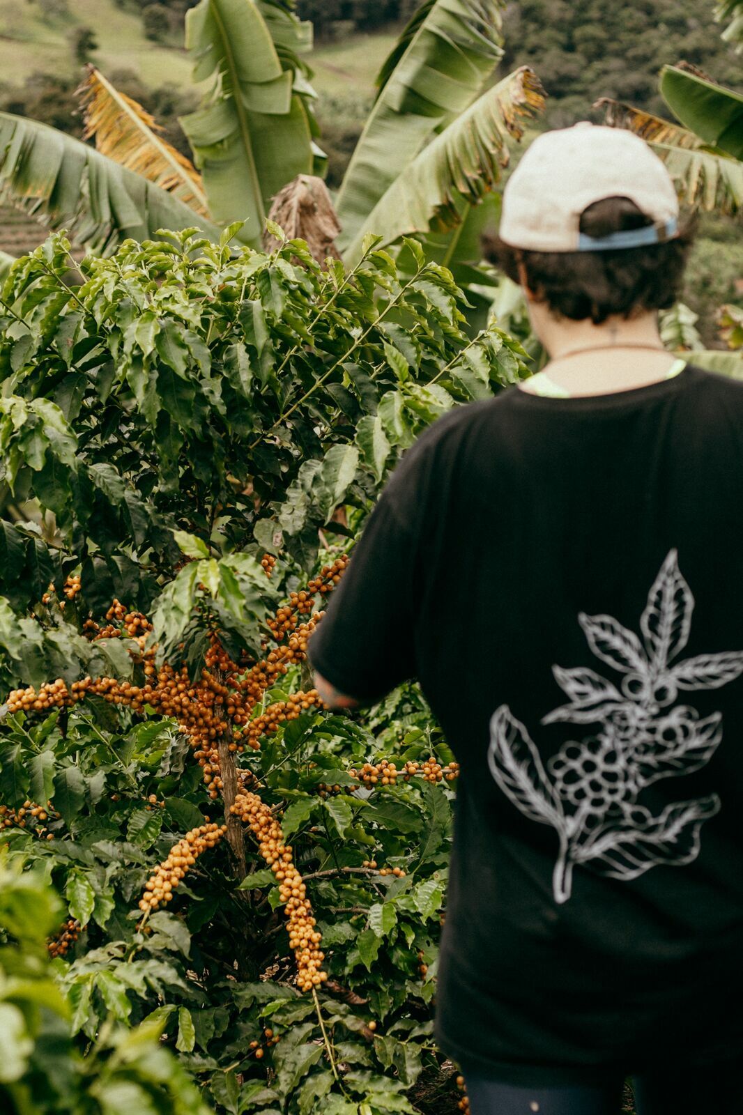Foto Serra da Mantiqueira: uma viagem com aroma de café Foto Serra da Mantiqueira: uma viagem com aroma de café - Imagem 143