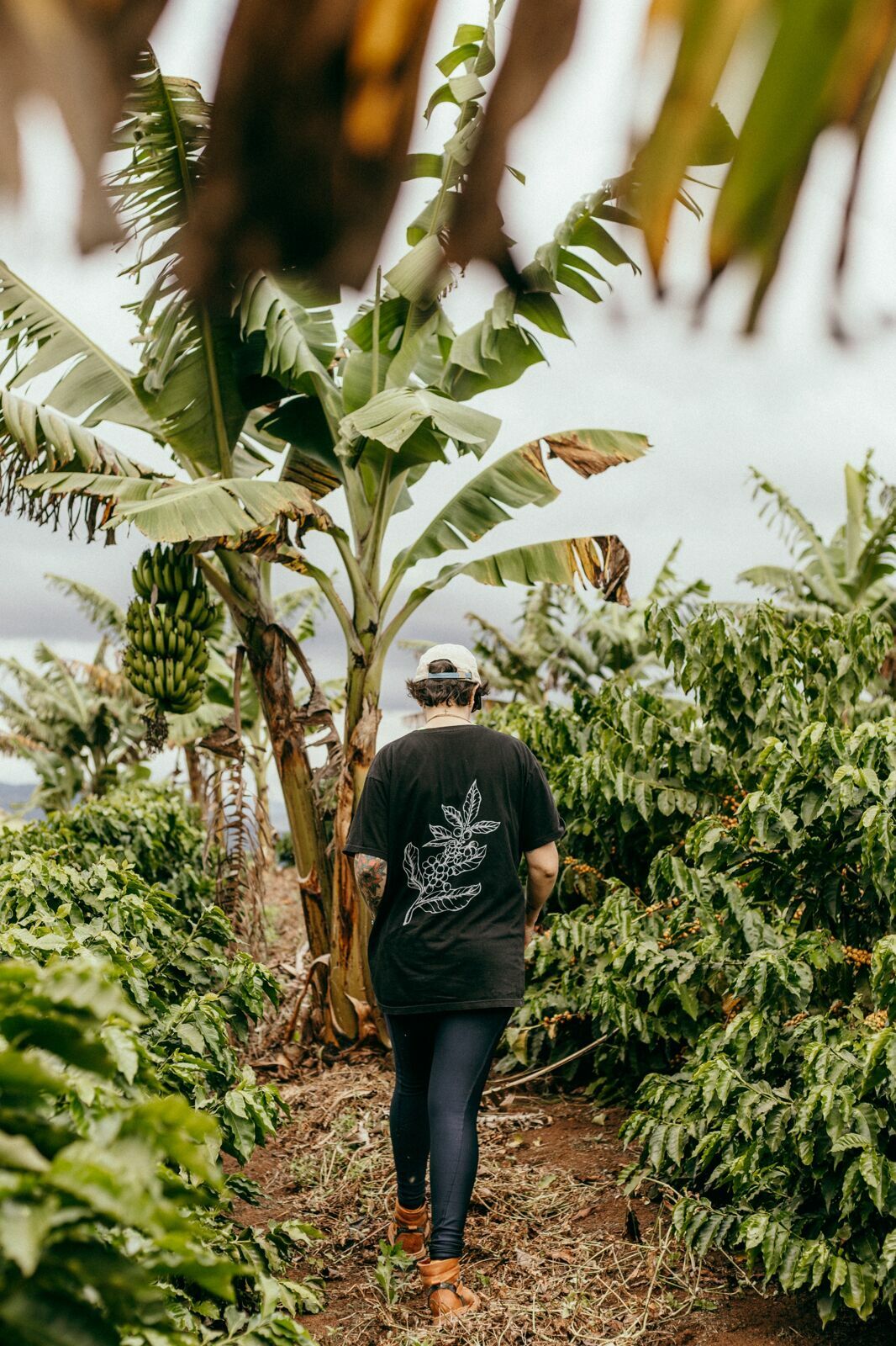 Foto Serra da Mantiqueira: uma viagem com aroma de café Foto Serra da Mantiqueira: uma viagem com aroma de café - Imagem 140