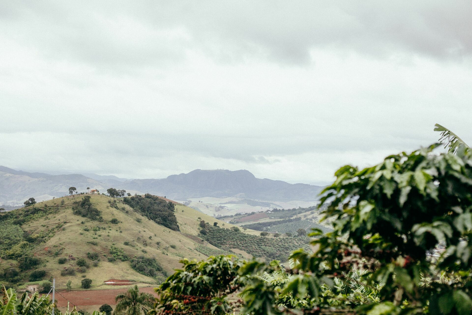 Foto Serra da Mantiqueira: uma viagem com aroma de café Foto Serra da Mantiqueira: uma viagem com aroma de café - Imagem 120
