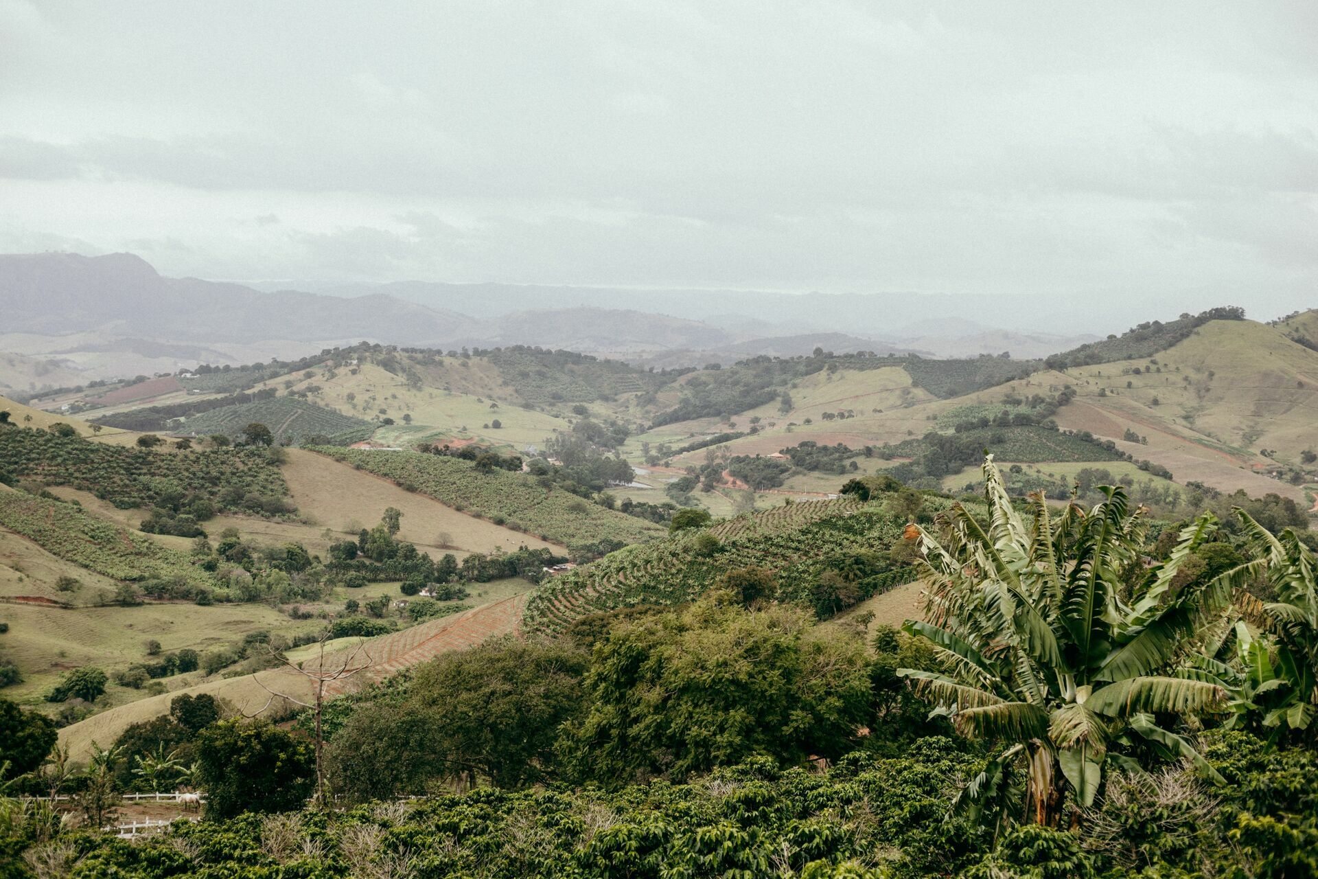 Foto Serra da Mantiqueira: uma viagem com aroma de café Foto Serra da Mantiqueira: uma viagem com aroma de café - Imagem 126