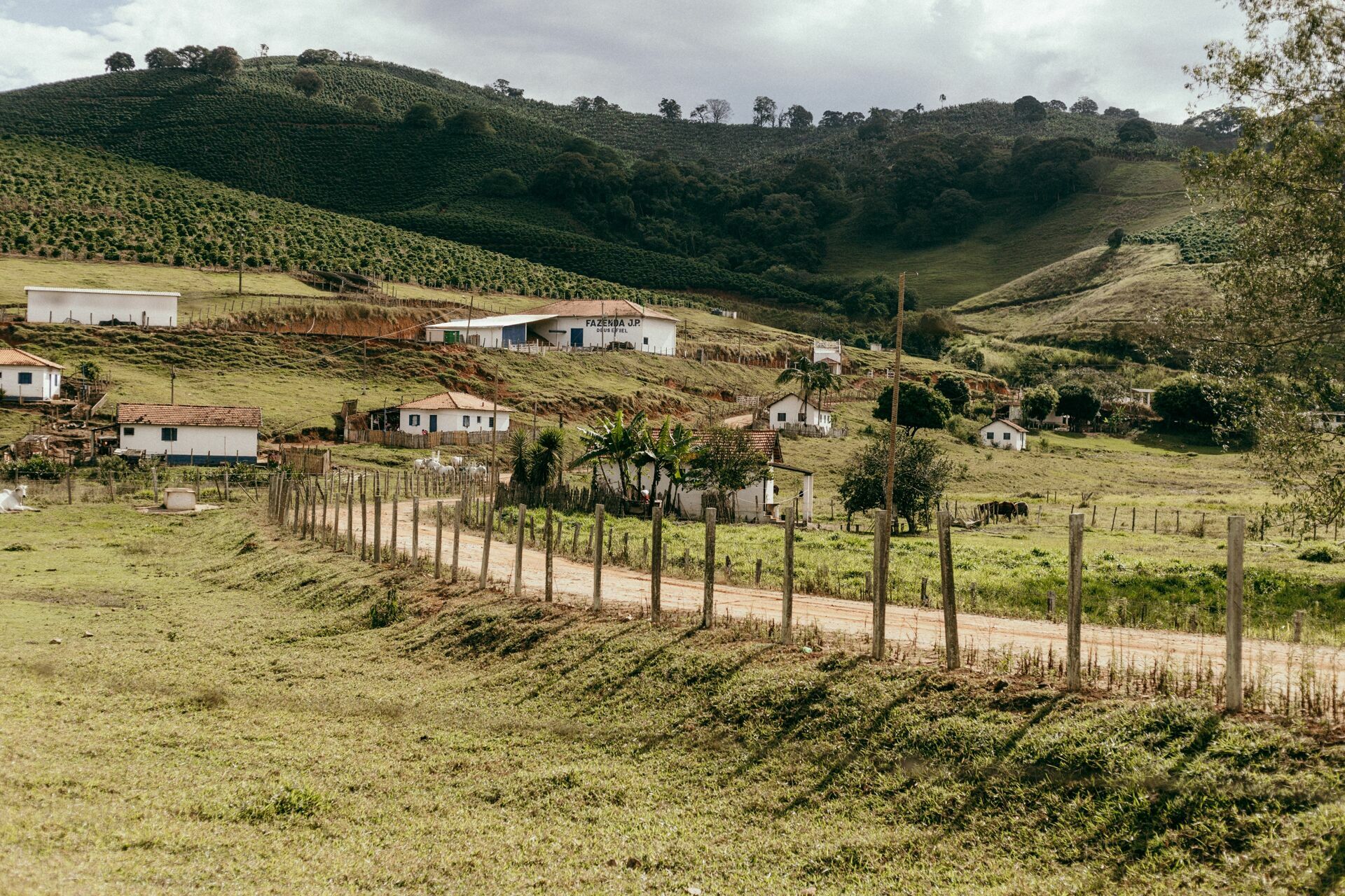 Foto Serra da Mantiqueira: uma viagem com aroma de café Foto Serra da Mantiqueira: uma viagem com aroma de café - Imagem 143
