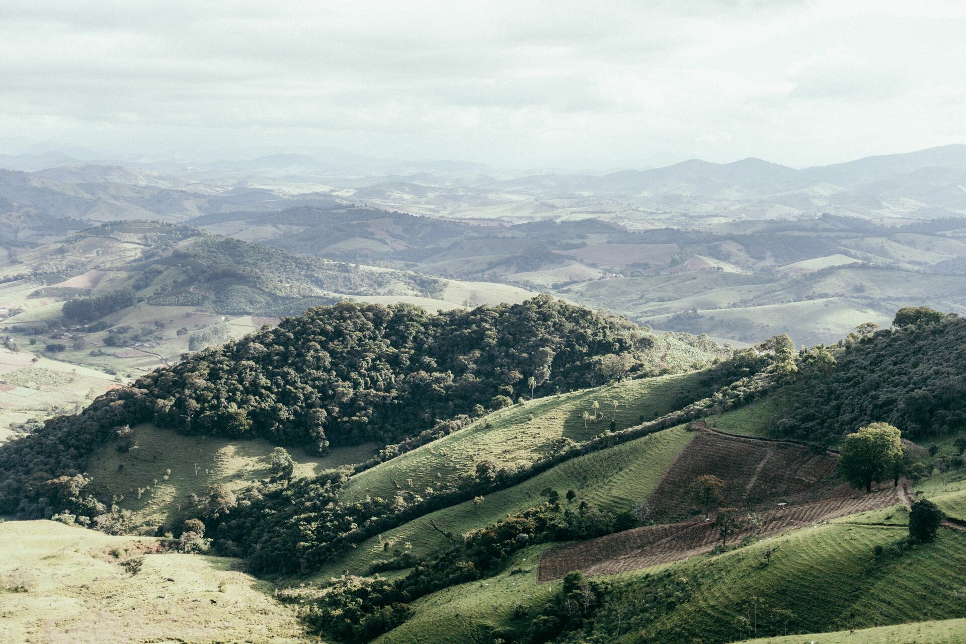 Foto Serra da Mantiqueira: uma viagem com aroma de café Foto Serra da Mantiqueira: uma viagem com aroma de café - Imagem 152