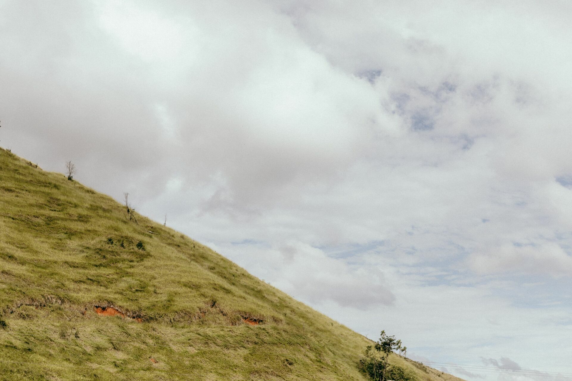 Foto Serra da Mantiqueira: uma viagem com aroma de café Foto Serra da Mantiqueira: uma viagem com aroma de café - Imagem 145