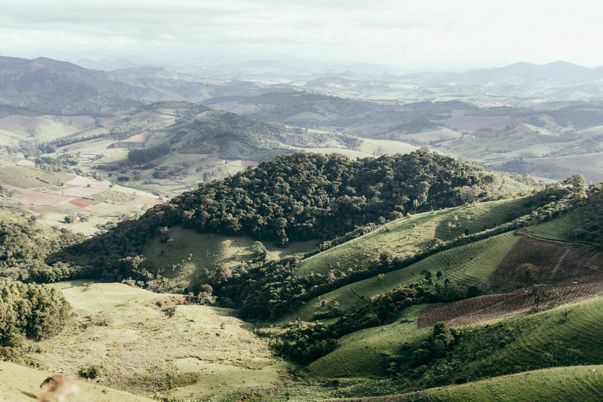 Foto Serra da Mantiqueira: uma viagem com aroma de café Foto Serra da Mantiqueira: uma viagem com aroma de café - Imagem 151
