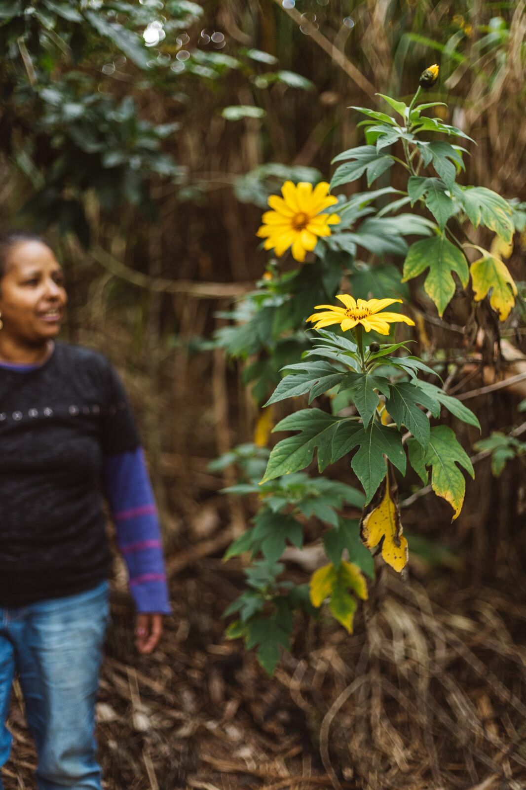 Foto Serra da Mantiqueira: uma viagem com aroma de café Foto Serra da Mantiqueira: uma viagem com aroma de café - Imagem 169