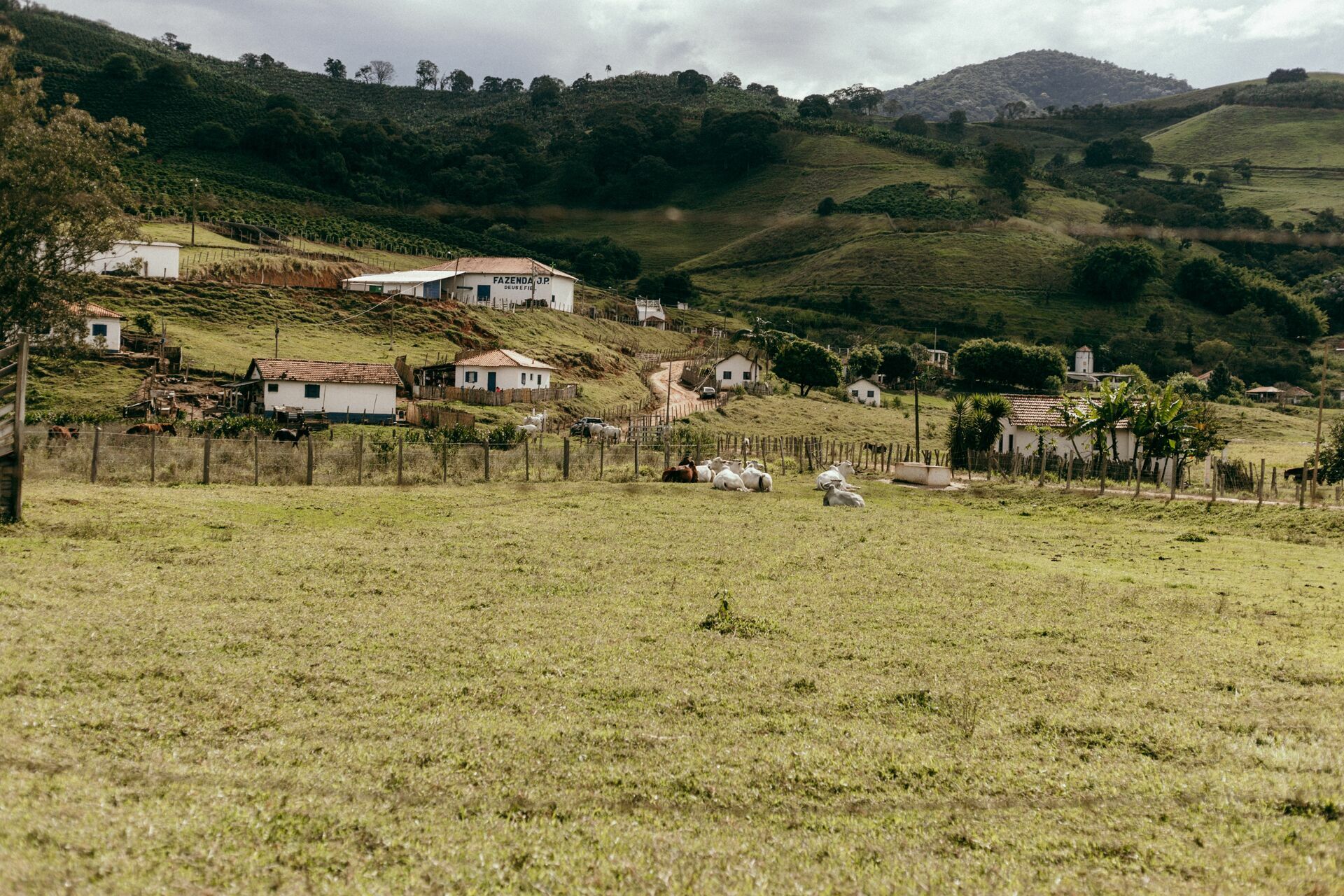 Foto Serra da Mantiqueira: uma viagem com aroma de café Foto Serra da Mantiqueira: uma viagem com aroma de café - Imagem 144