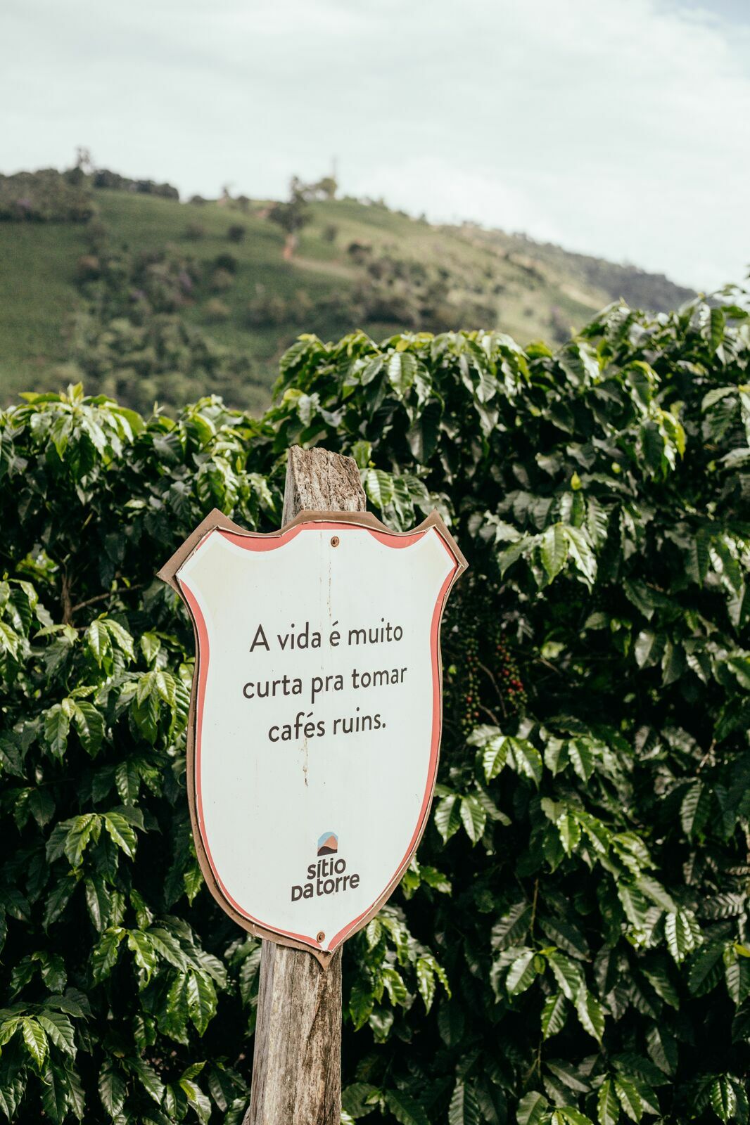 Foto Serra da Mantiqueira: uma viagem com aroma de café - Imagem 191