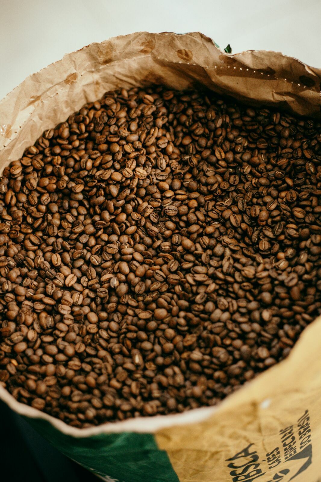 Foto Serra da Mantiqueira: uma viagem com aroma de café - Imagem 188
