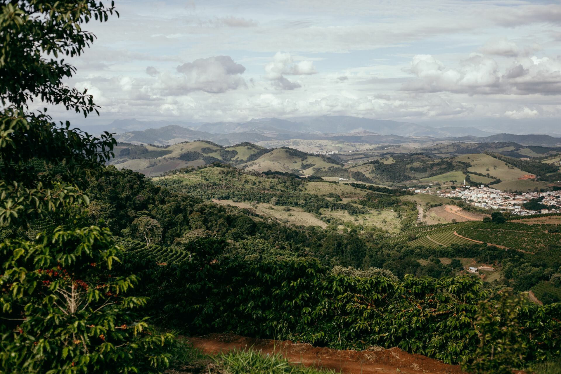Foto Serra da Mantiqueira: uma viagem com aroma de café - Imagem 197