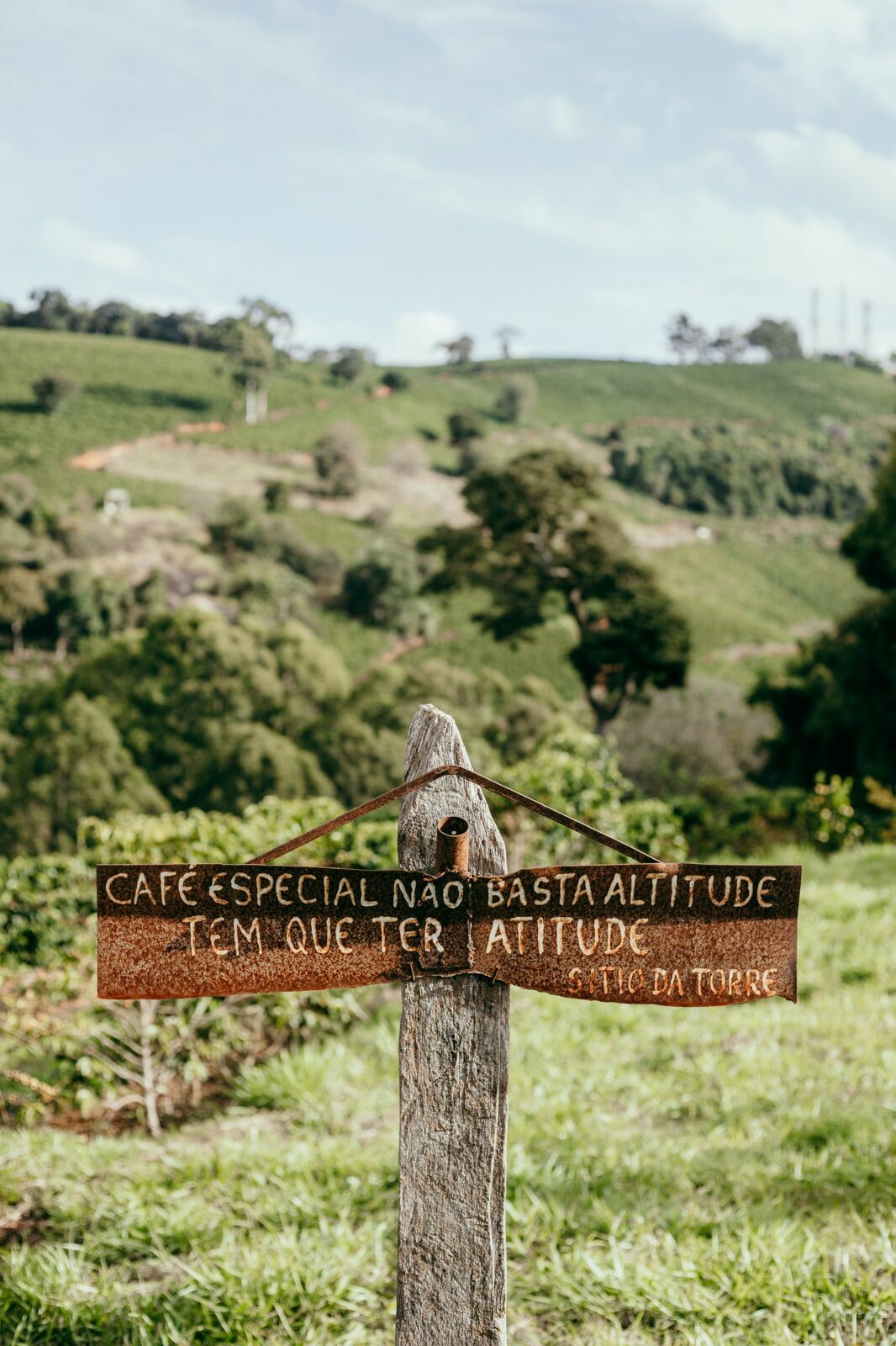 Foto Serra da Mantiqueira: uma viagem com aroma de café - Imagem 209