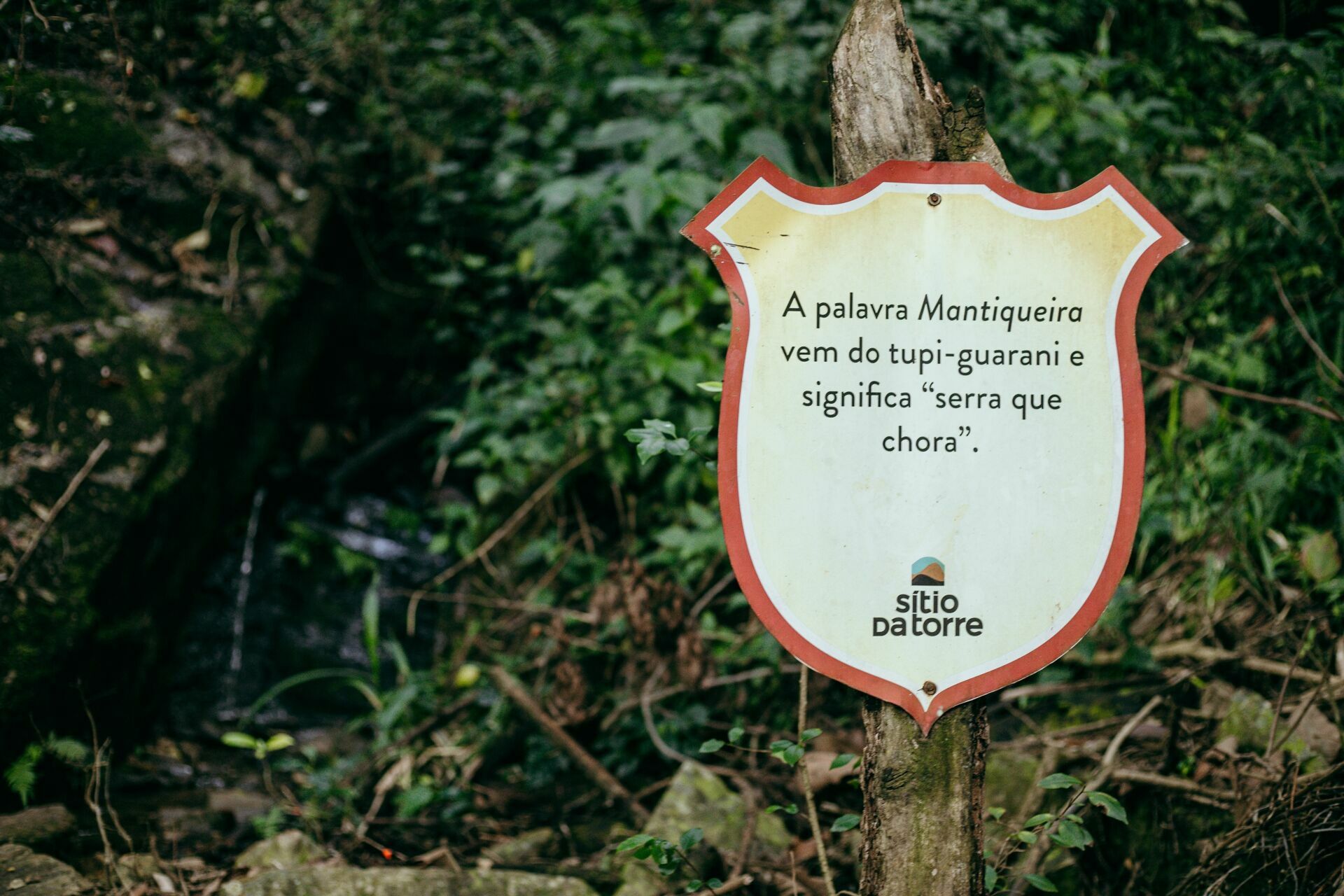 Foto Serra da Mantiqueira: uma viagem com aroma de café - Imagem 212