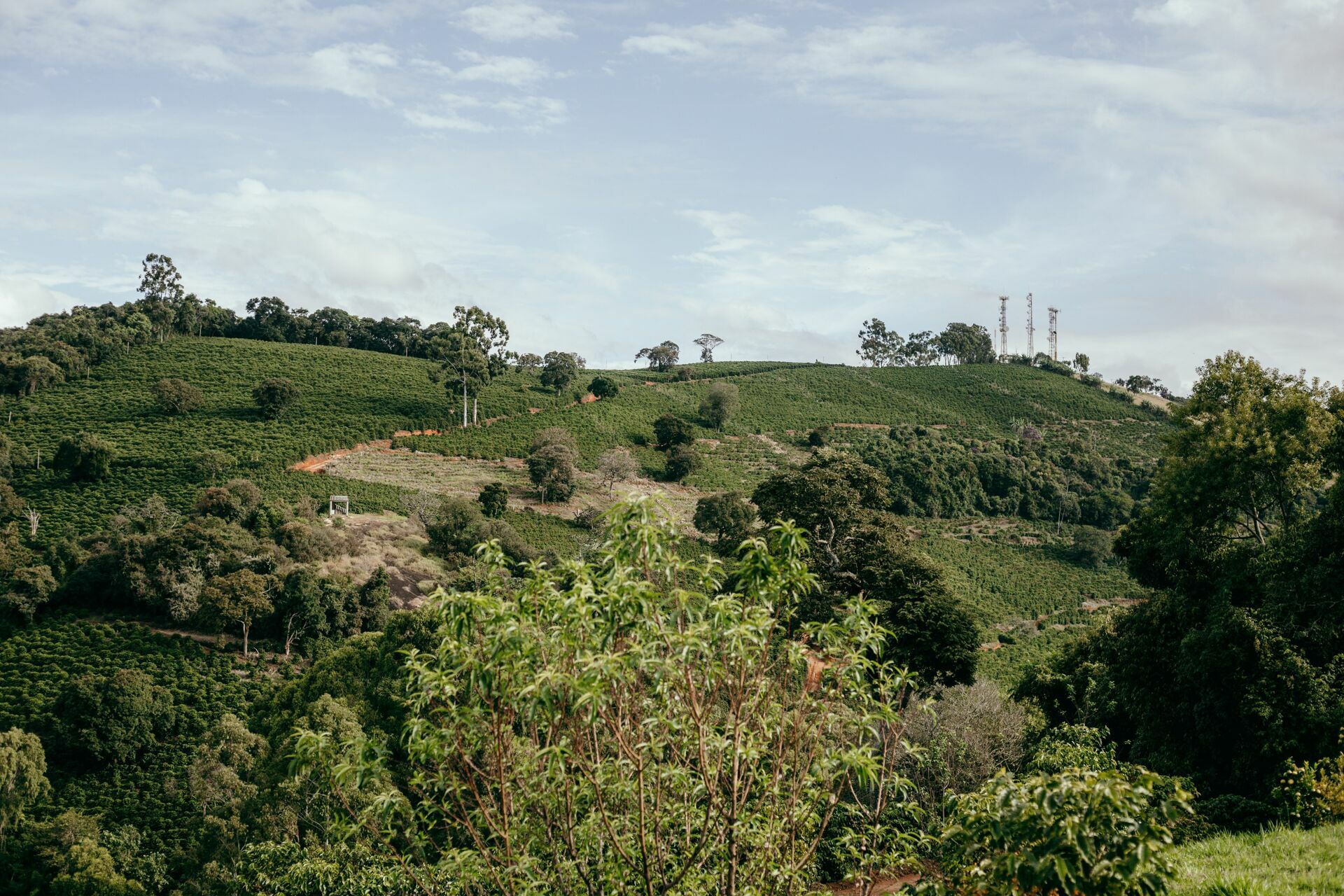 Foto Serra da Mantiqueira: uma viagem com aroma de café - Imagem 198